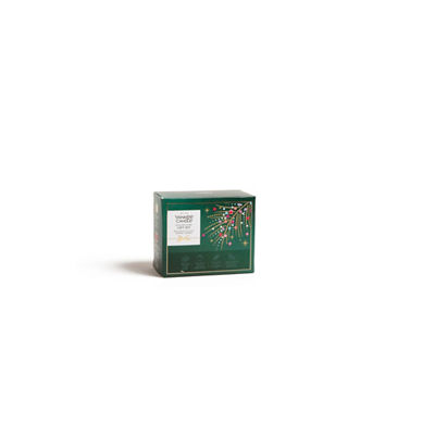 Minis Discovery Gift Set